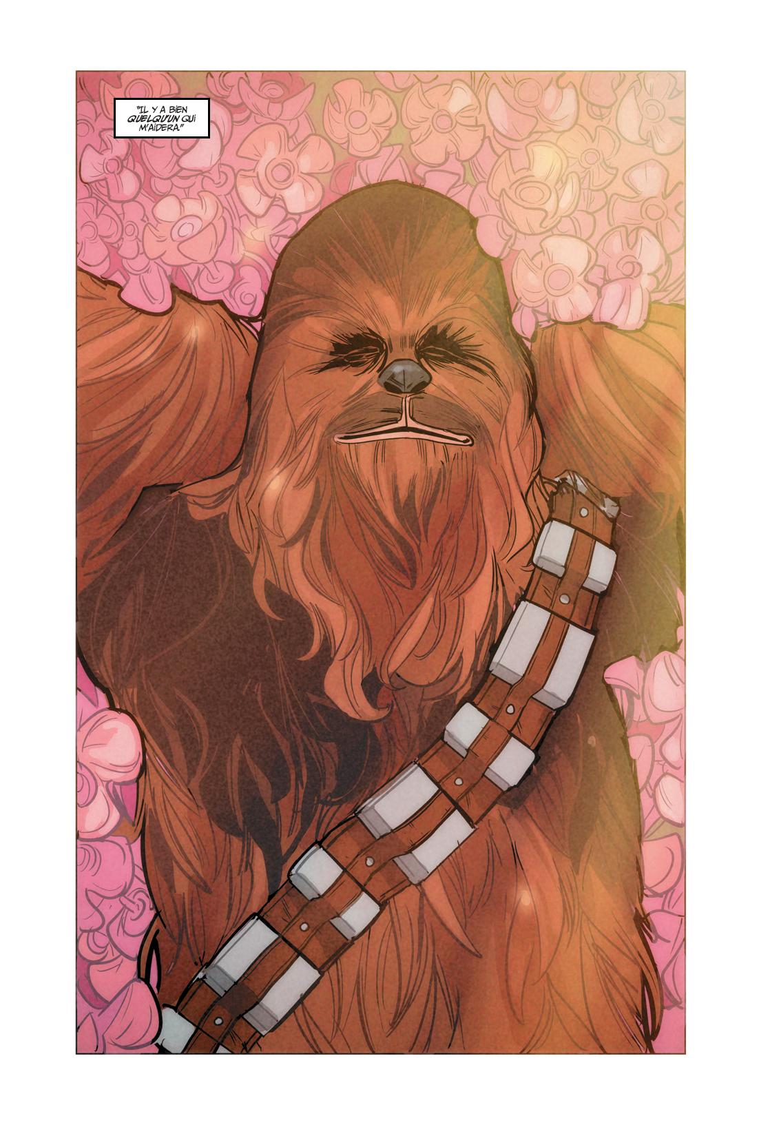 Star Wars Chewie - Preview 3