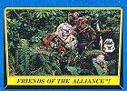 Friends of the Alliance