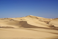 Dunes Algodones